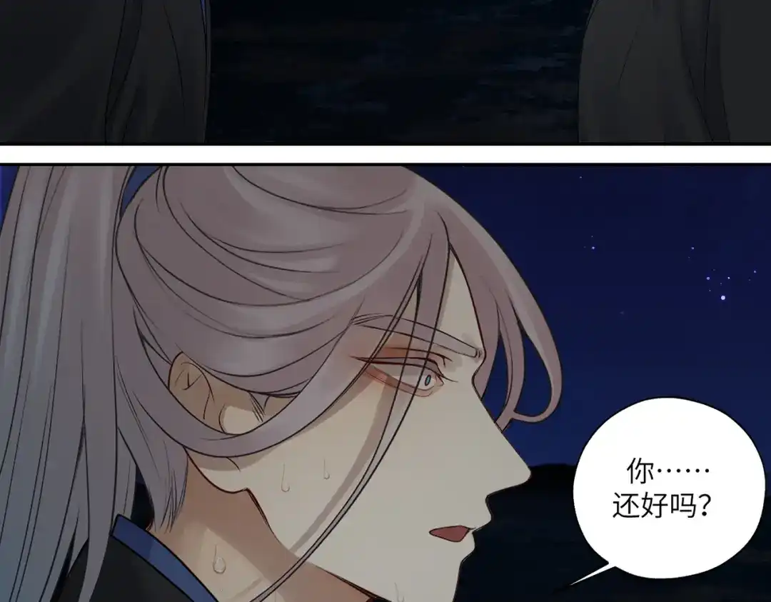 病危将军作死日常 第三十九回 耀眼 第41页