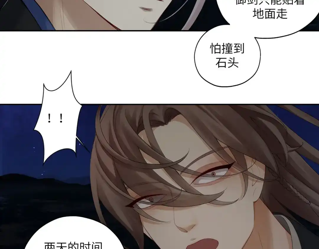 病危将军作死日常 第三十九回 耀眼 第51页