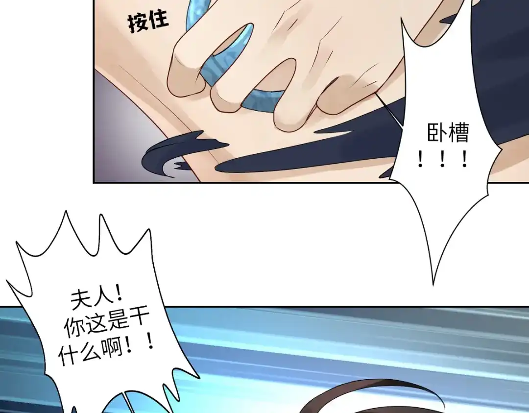 病危将军作死日常 第四十八回 仓海：我尽力了 第76页