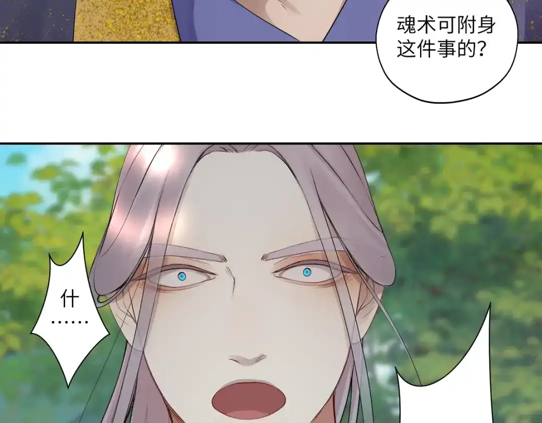 病危将军作死日常 第五十一回 魂术？ 第25页