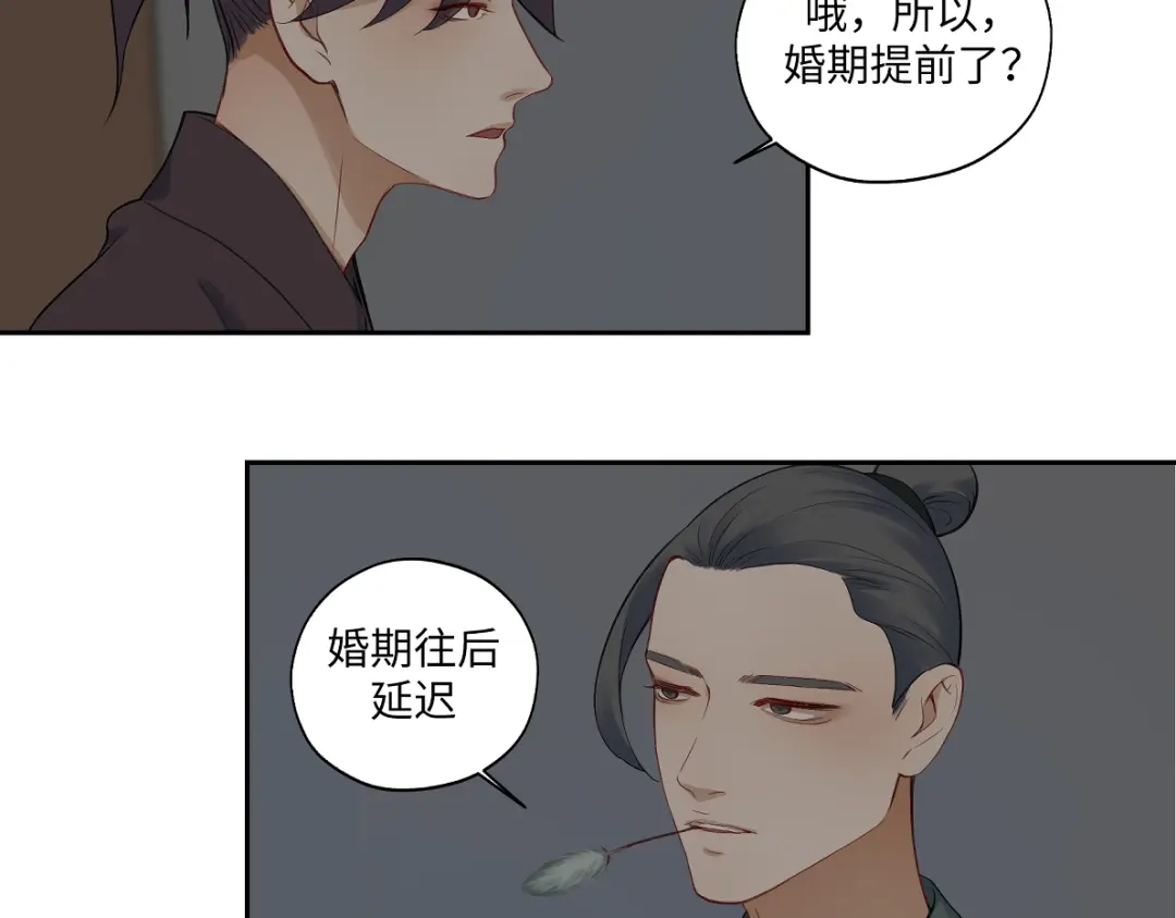病危将军作死日常 第五十九回 婚期后延 第29页