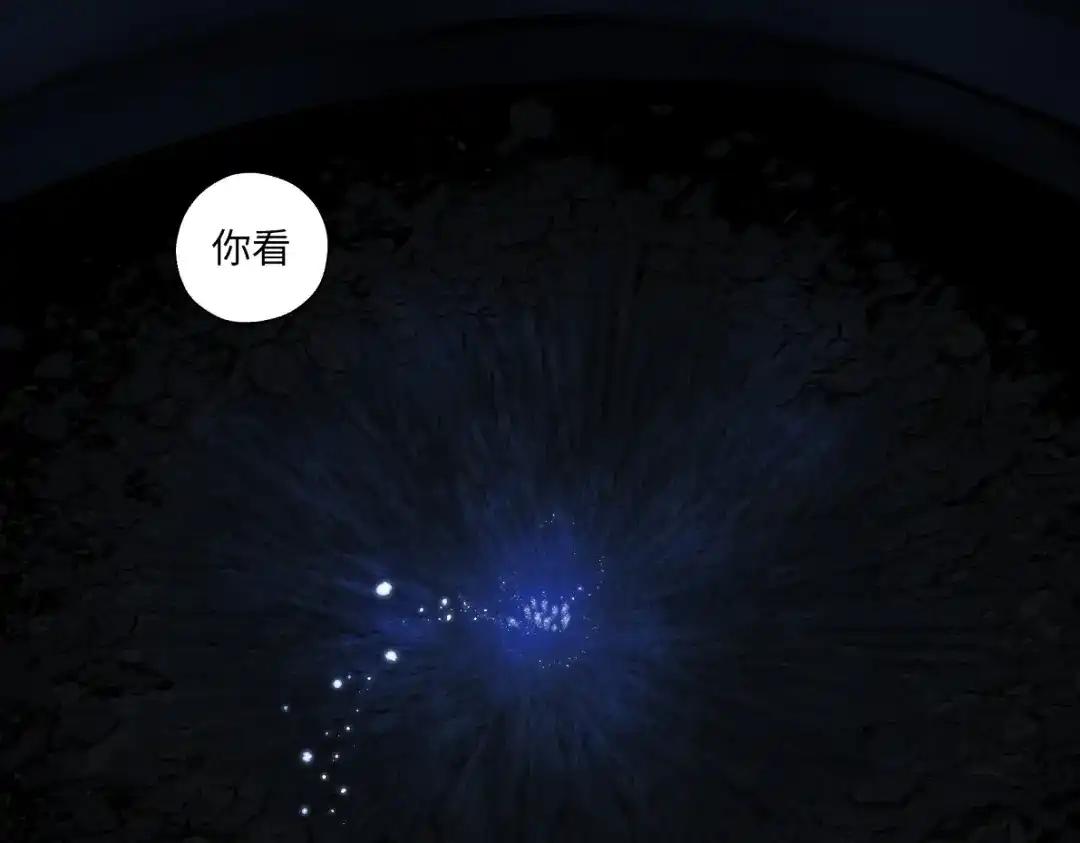 病危将军作死日常 第六十回 卷轴中的回忆 第56页
