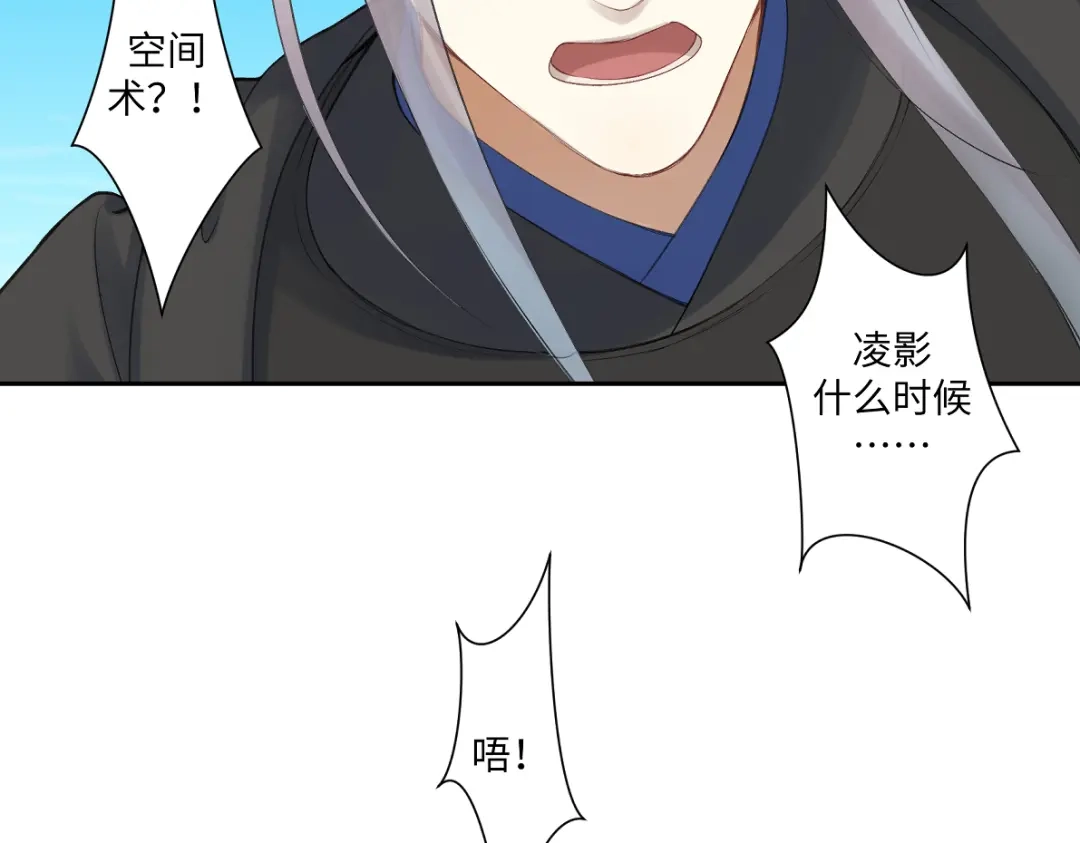 病危将军作死日常 第六十六回 凌影？ 第62页