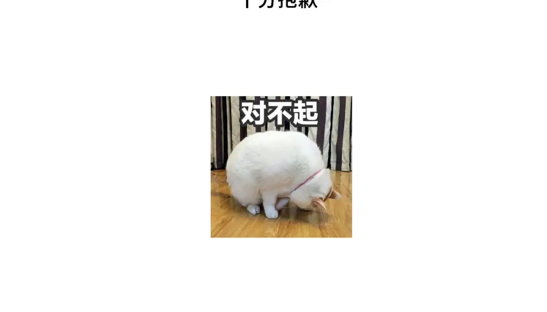 病危将军作死日常 第七十九章 完结篇 第78页