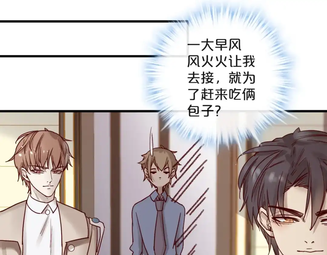 您的亿万首席请签收 第22话 私人飞机 第29页