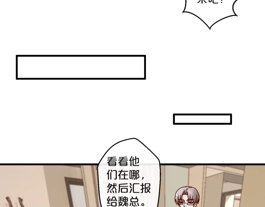 您的亿万首席请签收 第38话 白哲失踪！ 第12页