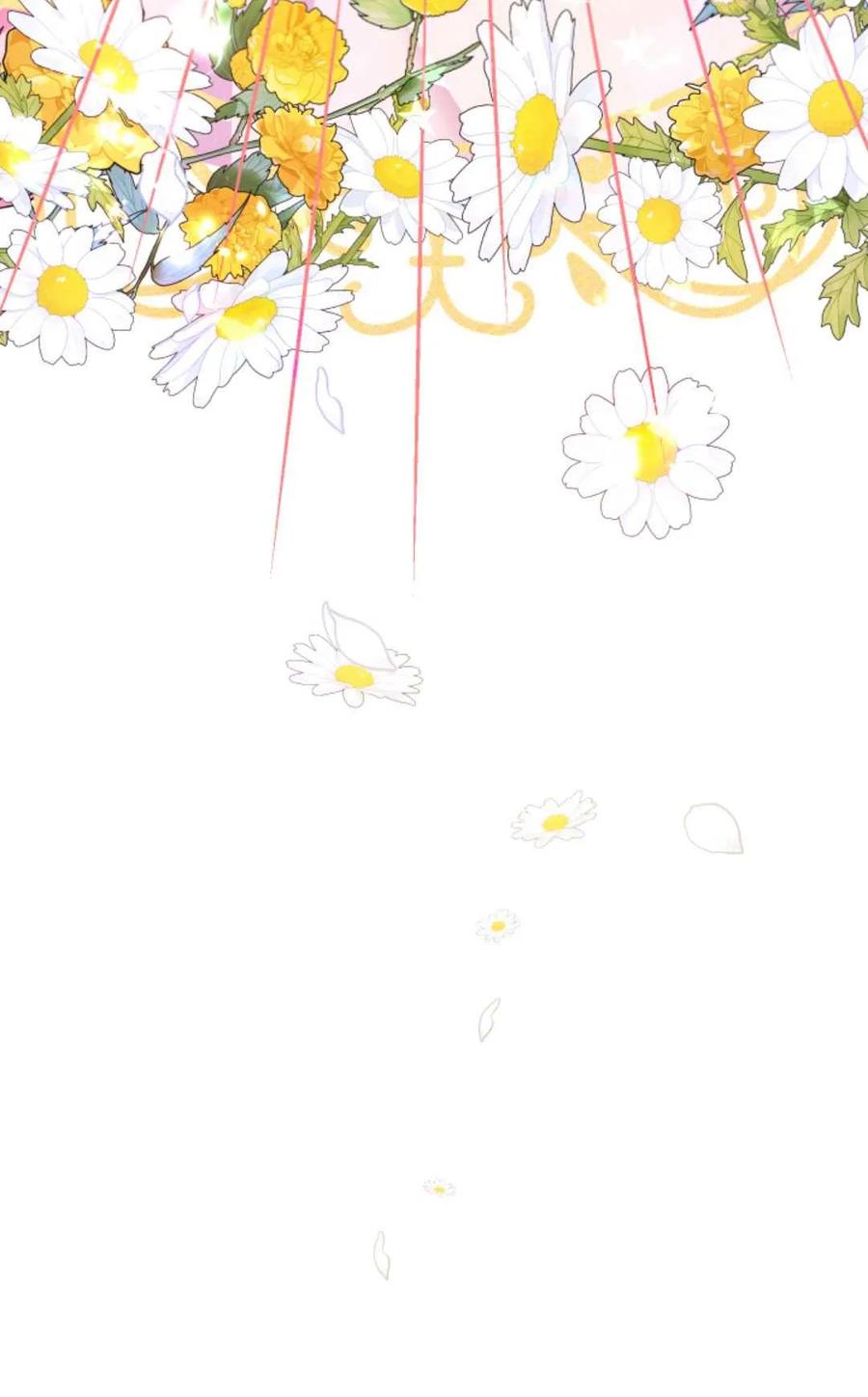 第255页