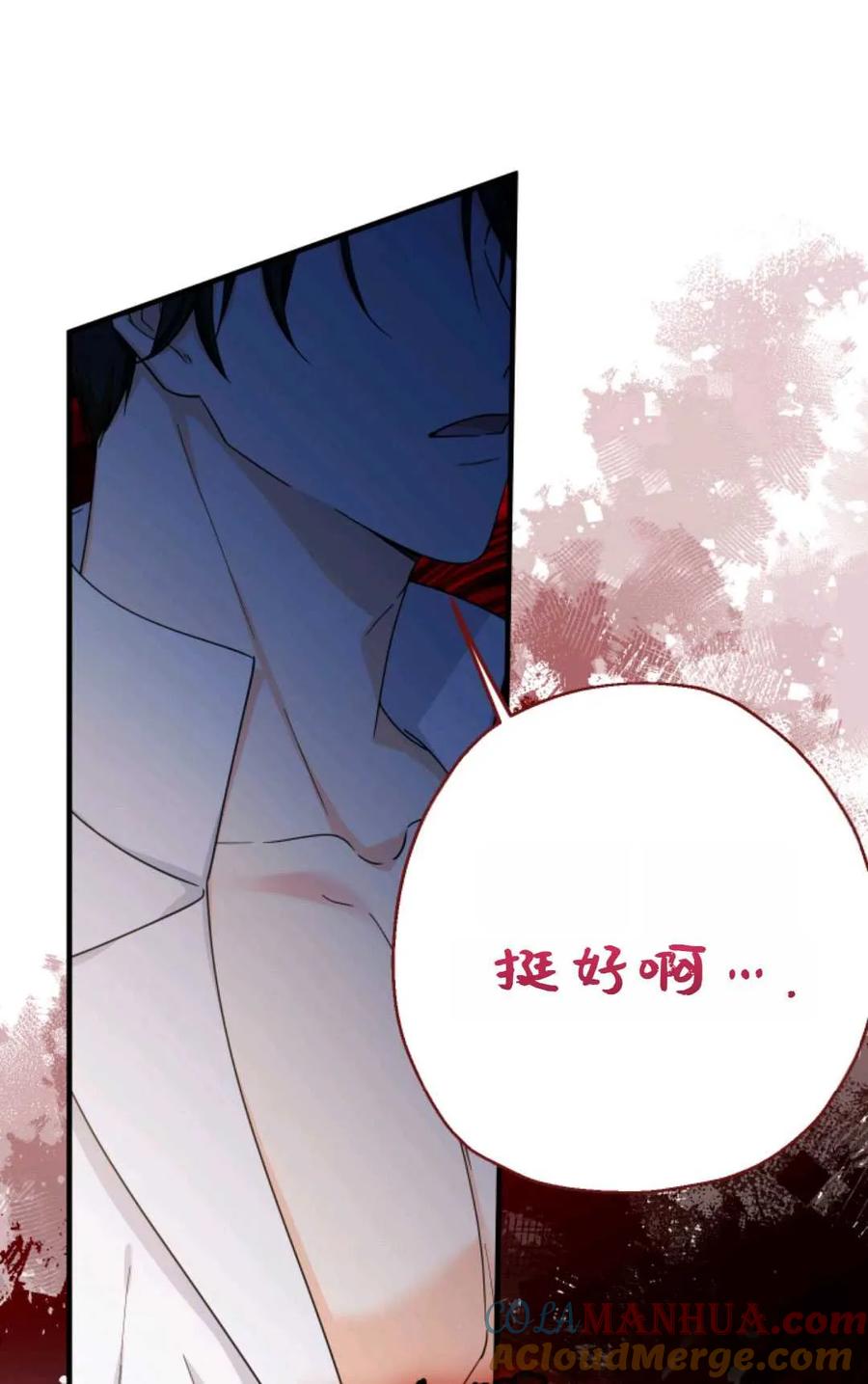 第241页