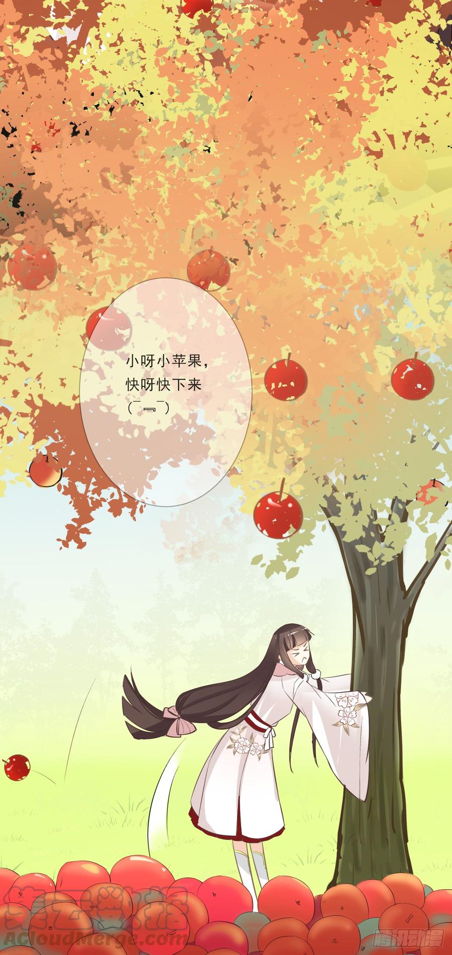 第51页