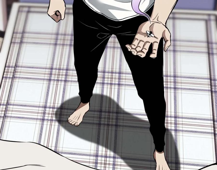 第262页