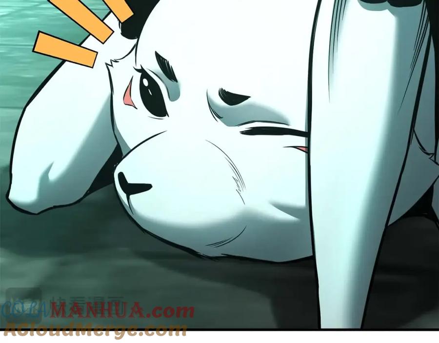 第213页