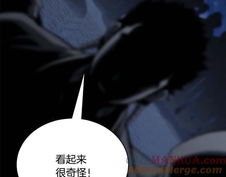 第241页