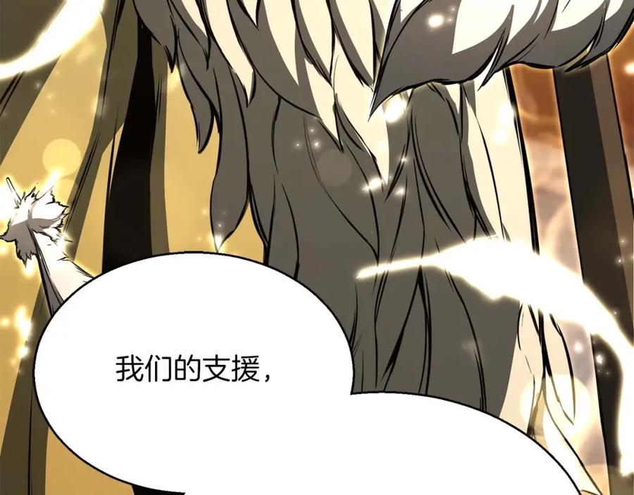 第204页