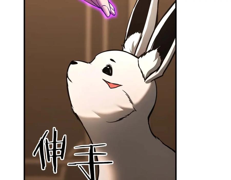 第224页