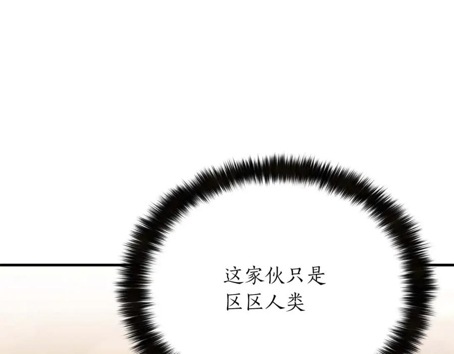第223页