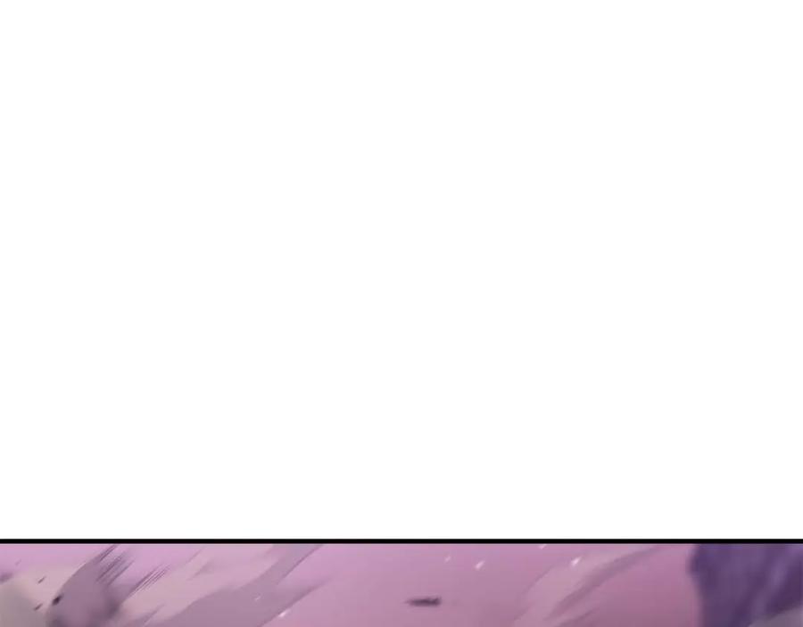 第224页