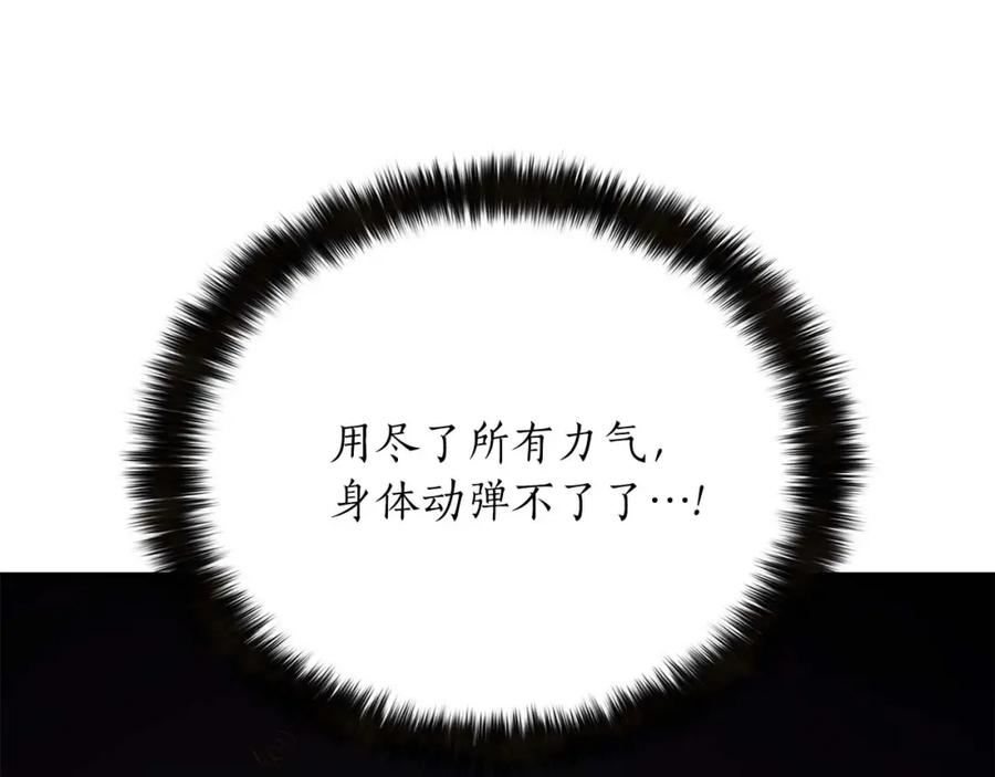 第239页