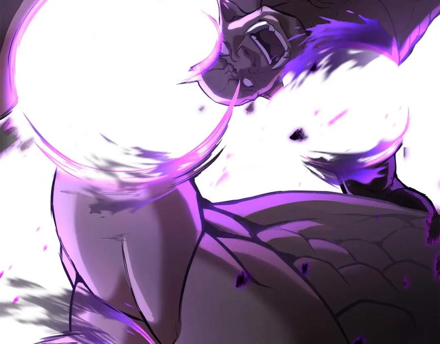 第224页
