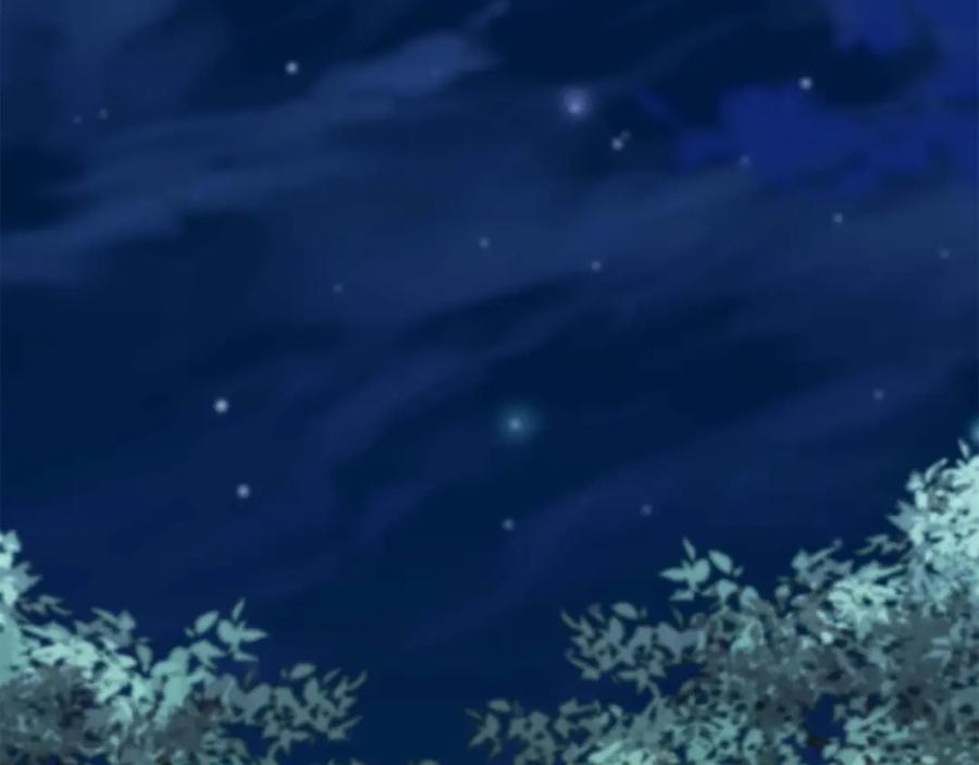 第219页