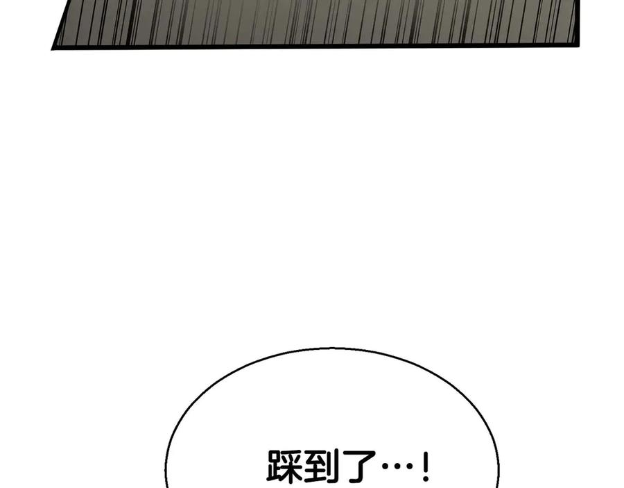 第228页
