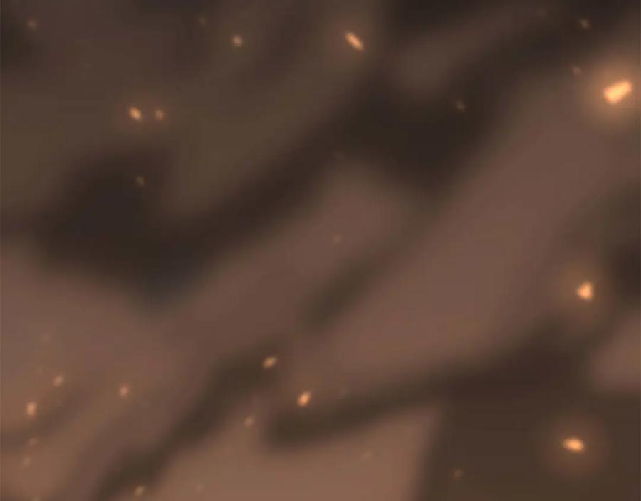 第275页