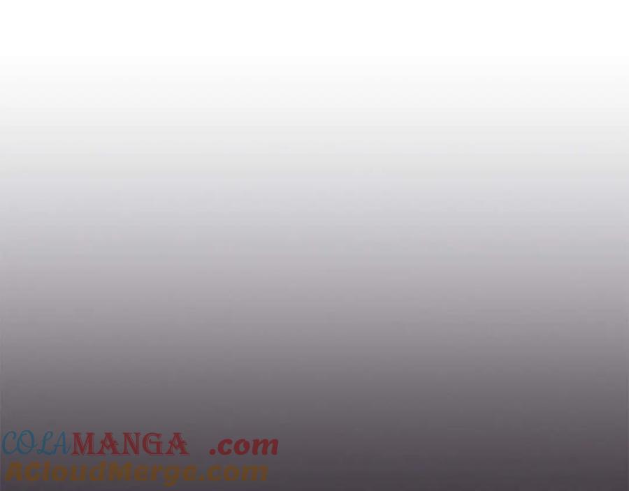 第241页