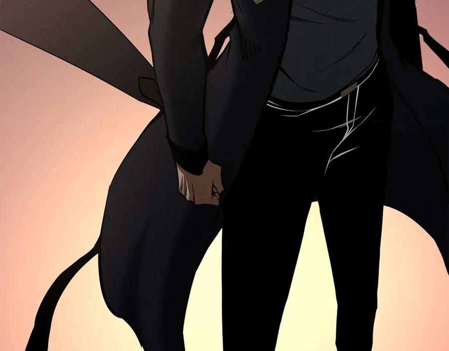 第244页