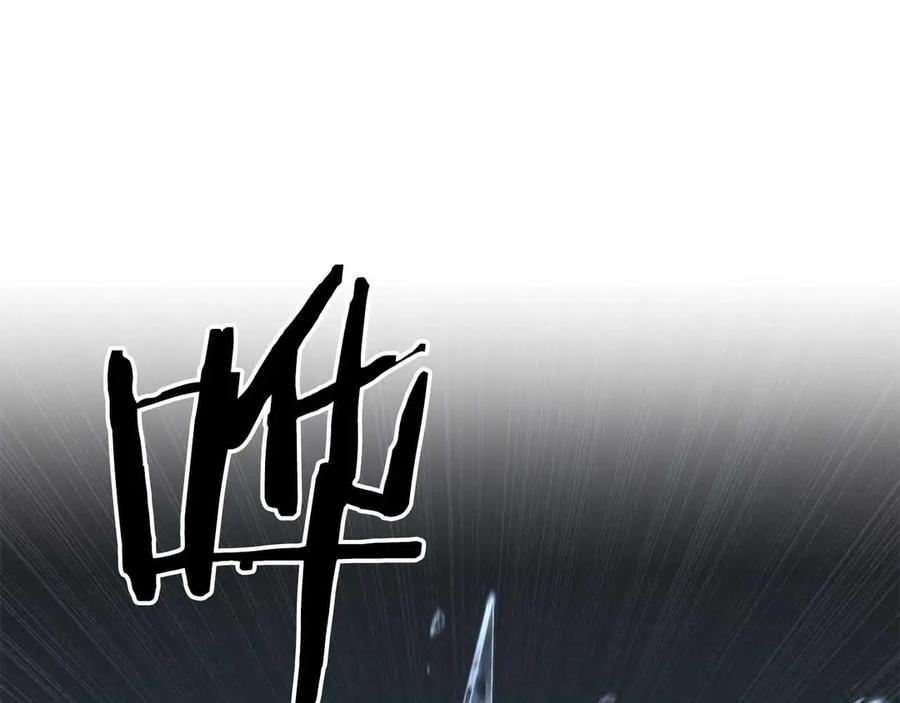 第242页