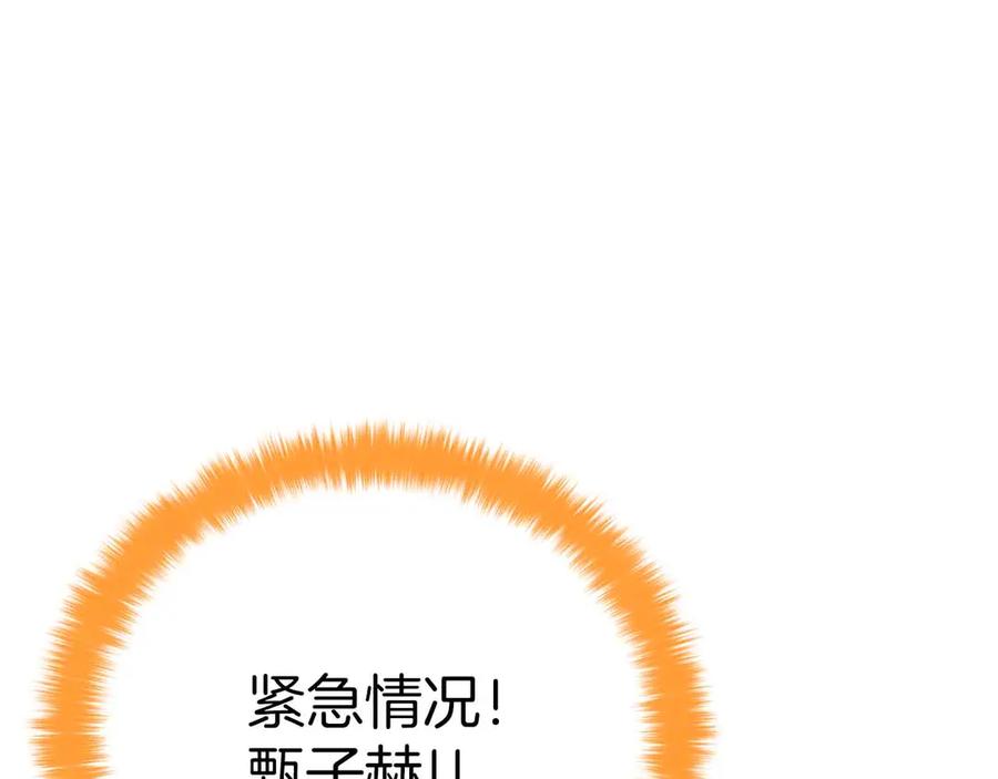 第251页