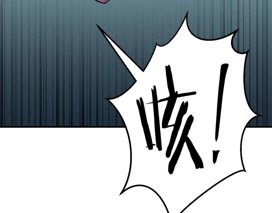 第243页