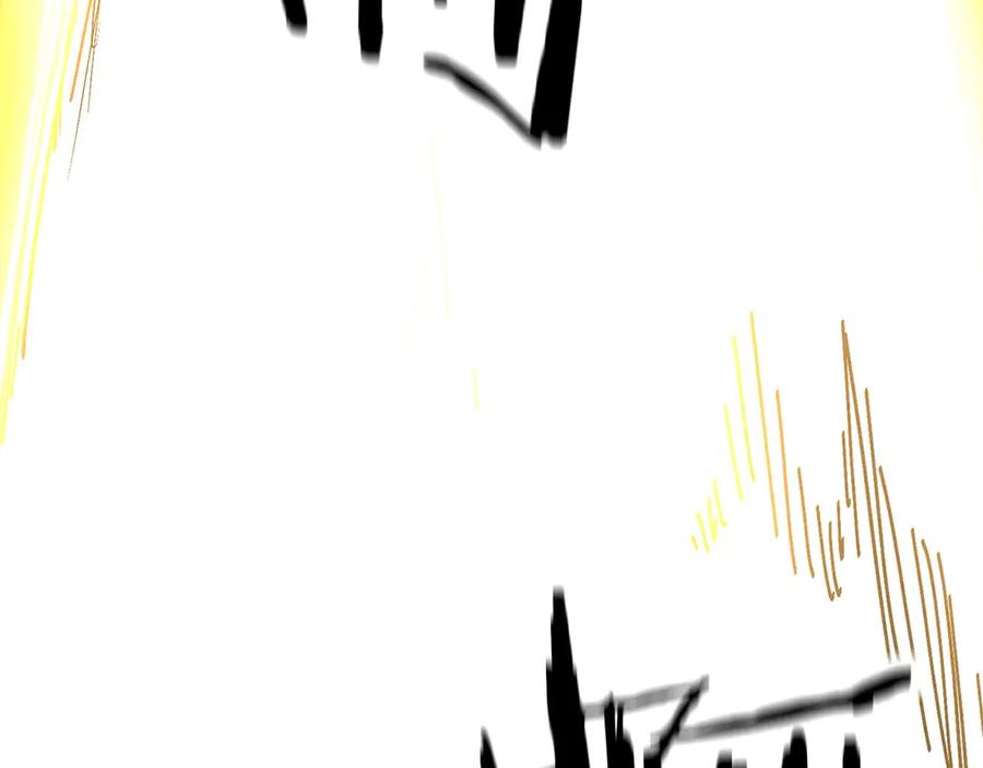 第223页