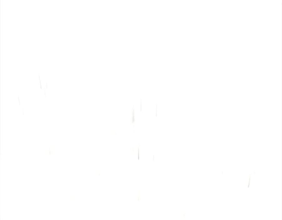 第248页