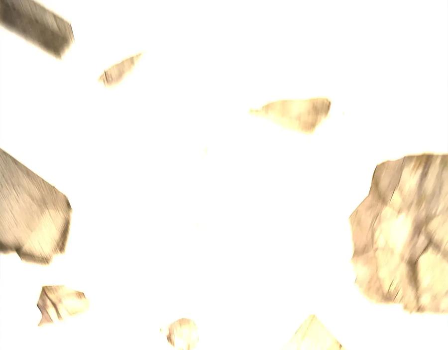 第250页