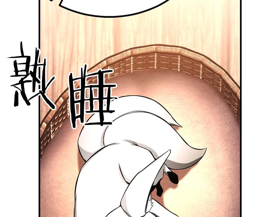 第242页