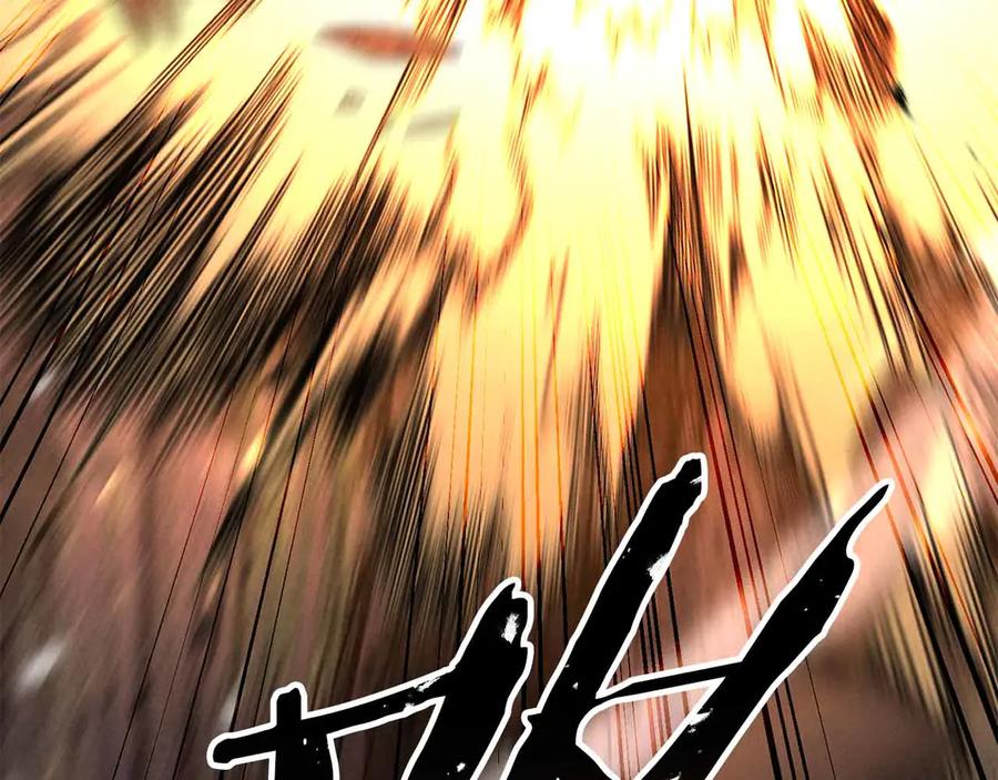 第264页