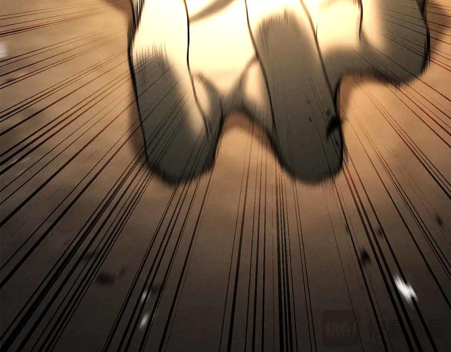 第282页