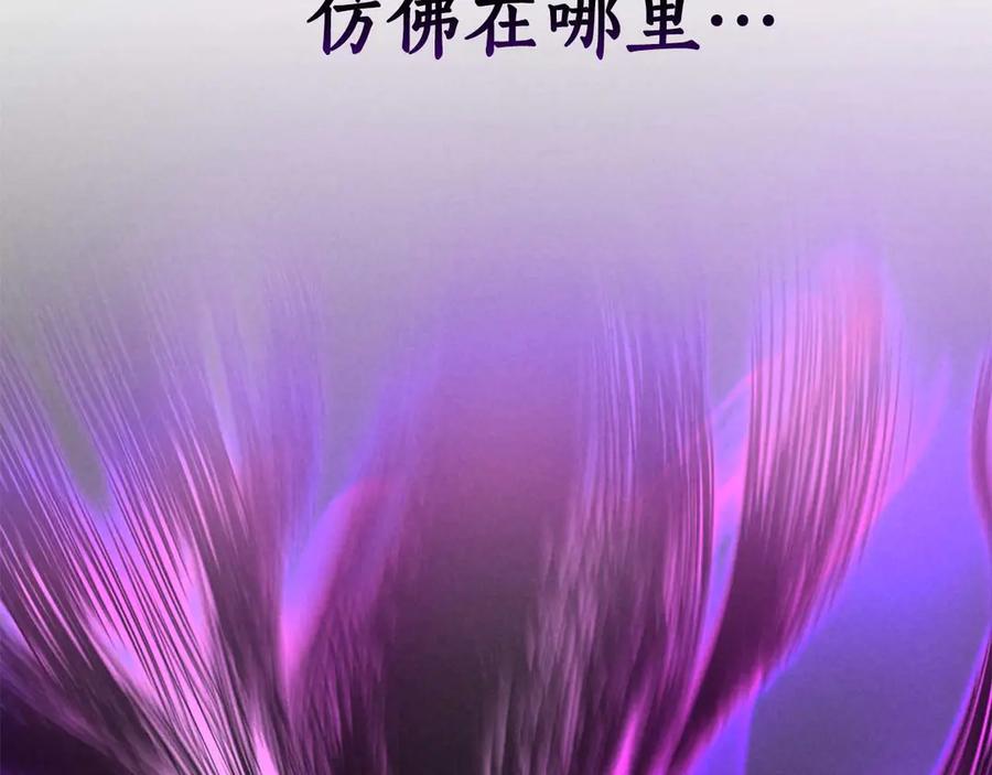 第243页