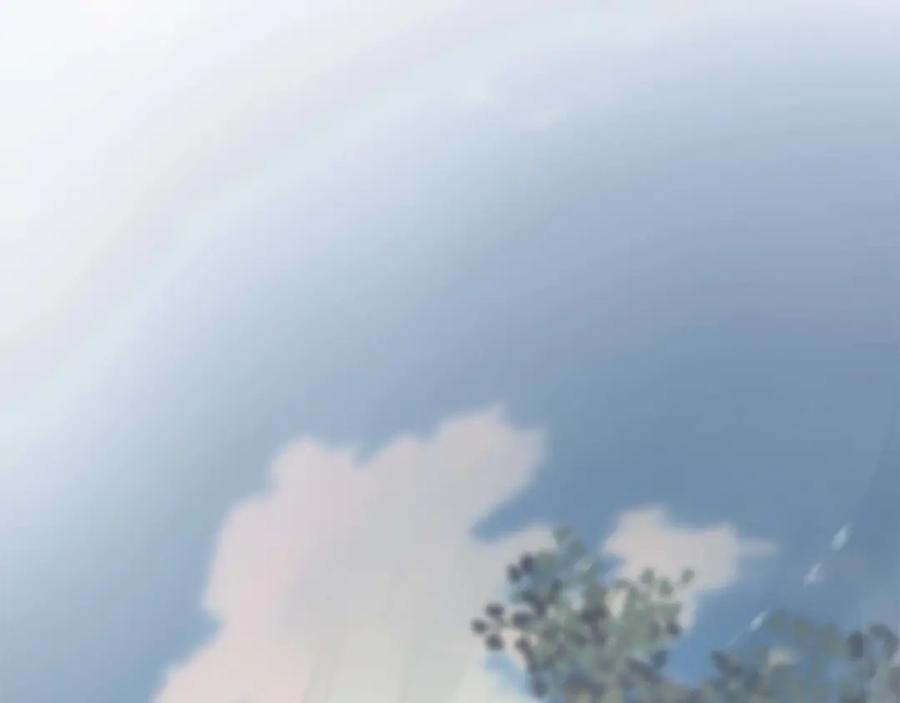 第239页