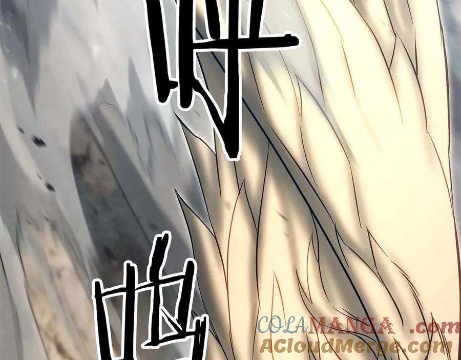 第249页