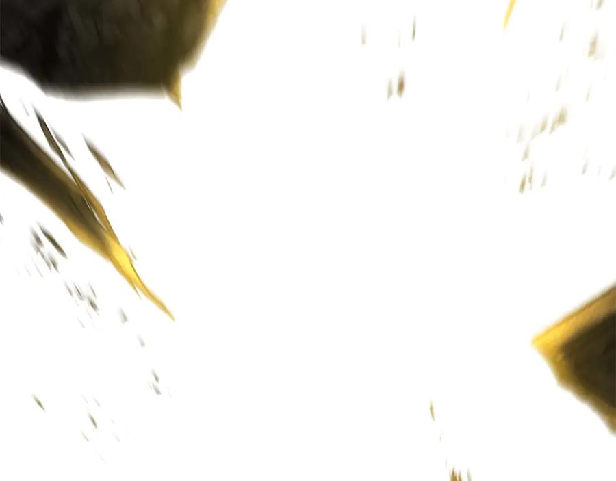 第233页