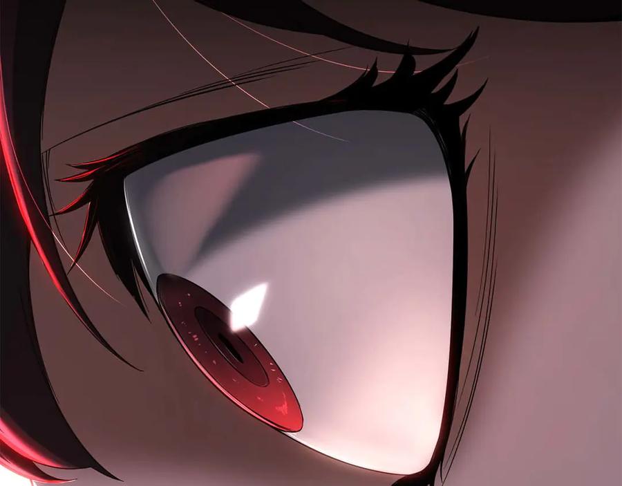 第238页