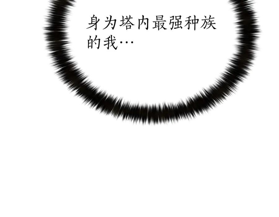 第911页