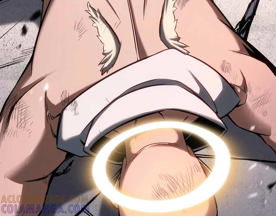 第323页