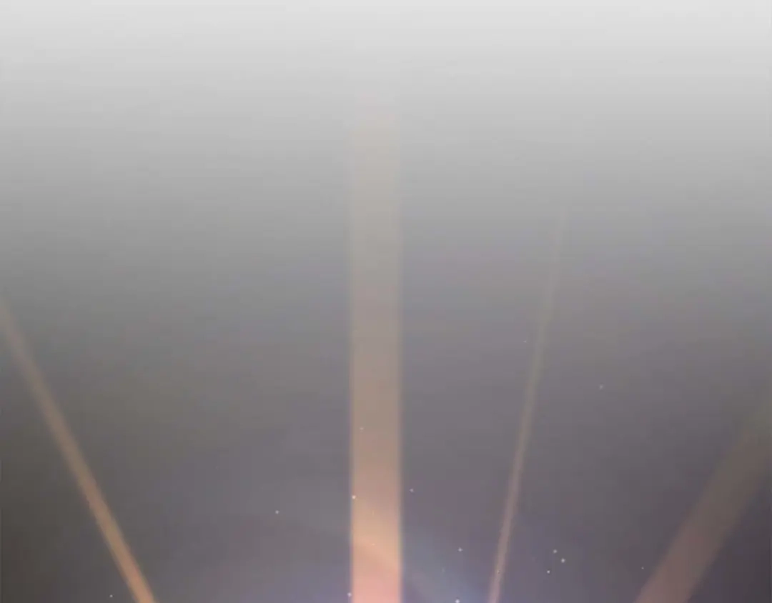 第295页
