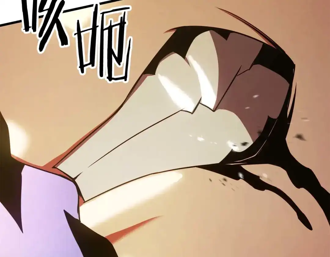第384页