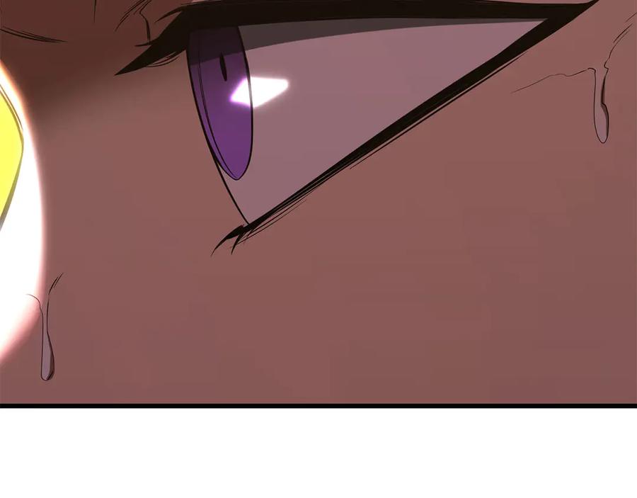 第236页