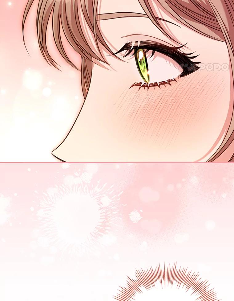 第223页
