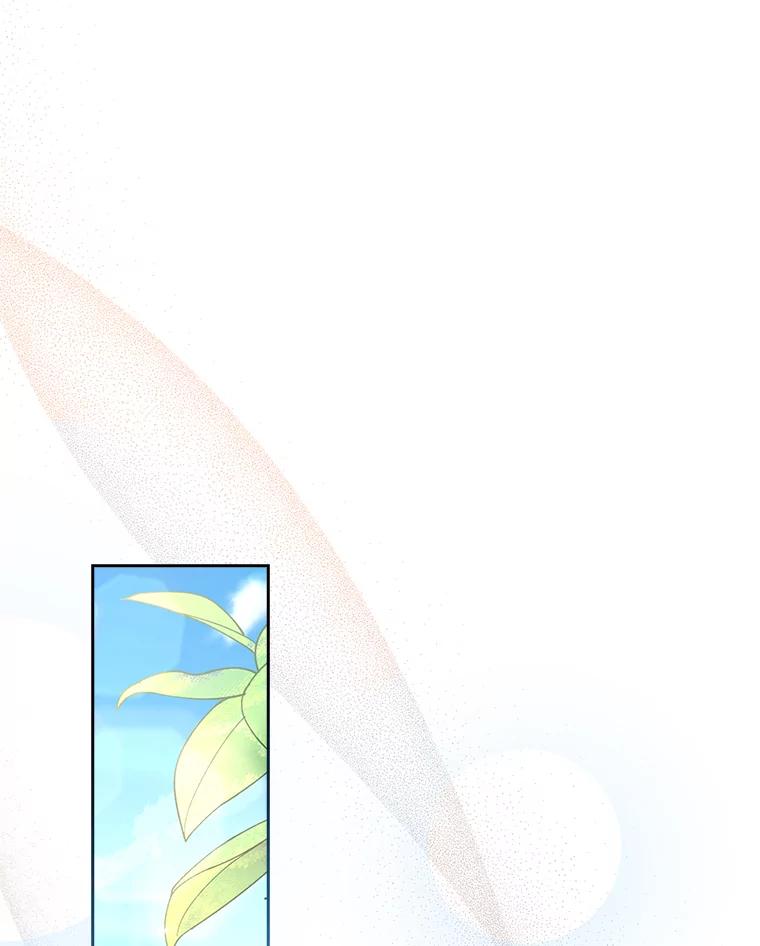 第256页