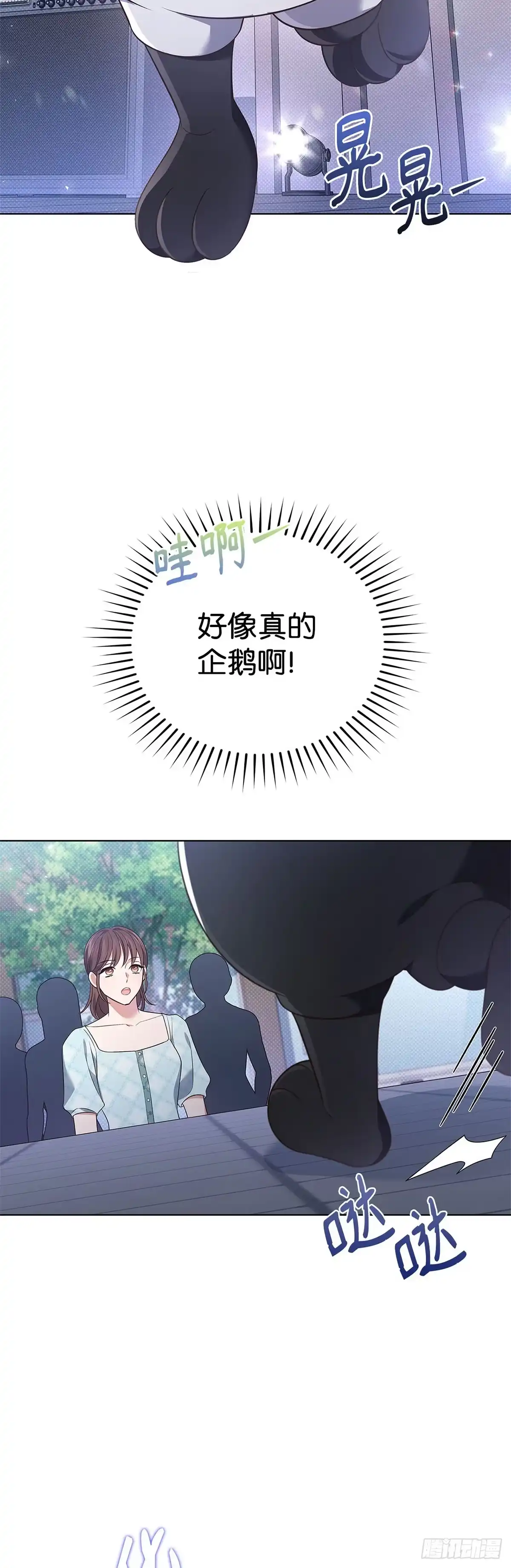 全宇宙都在等我C位出道 第41话 企鹅大放送 第21页