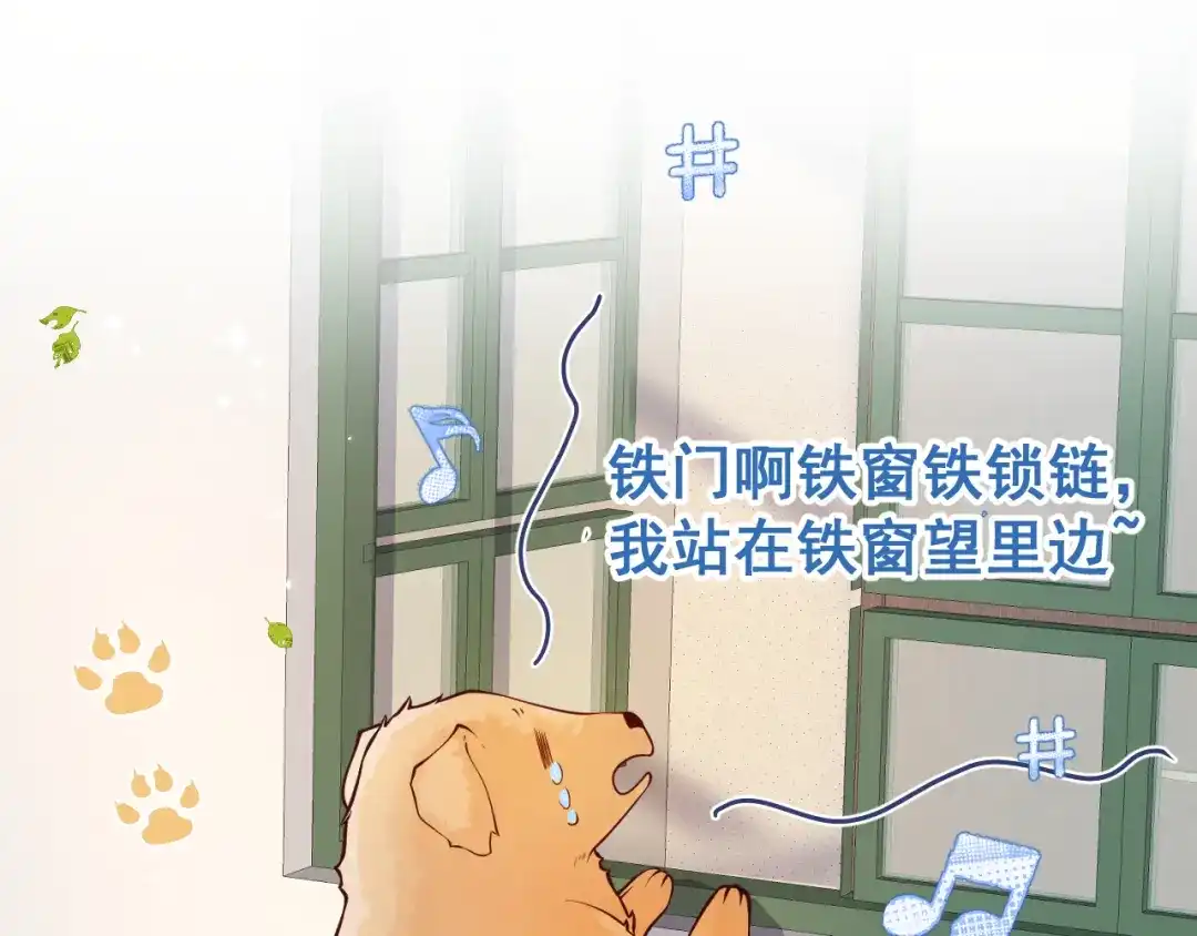 教授他开始追星 第7话 没人要的小狗。 第65页